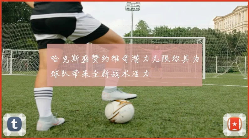 哈克斯盛赞约维奇潜力无限称其为球队带来全新战术活力
